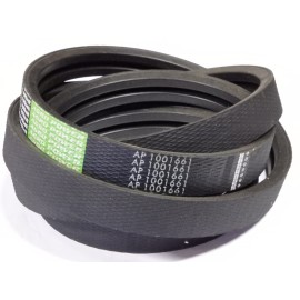 6201029 diržas Optibelt Agro Power