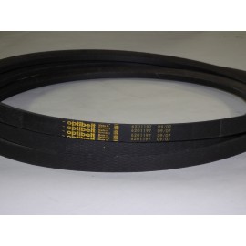 6201197 diržas OPTIBELT RSM