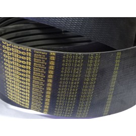 6201247 diržas OPTIBELT RSM