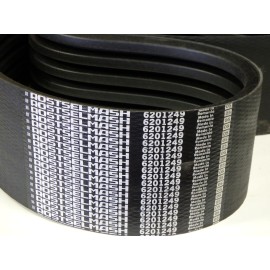 6201249 diržas OPTIBELT RSM