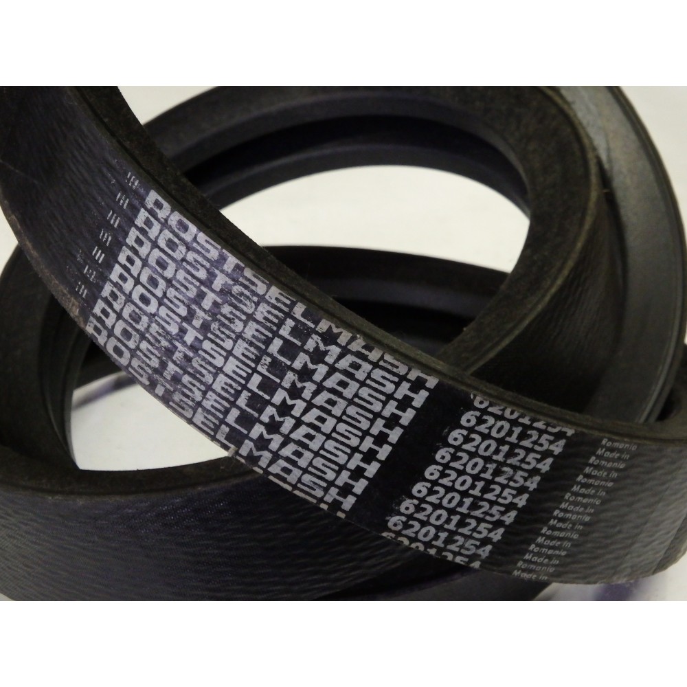 6201254 diržas OPTIBELT RSM.