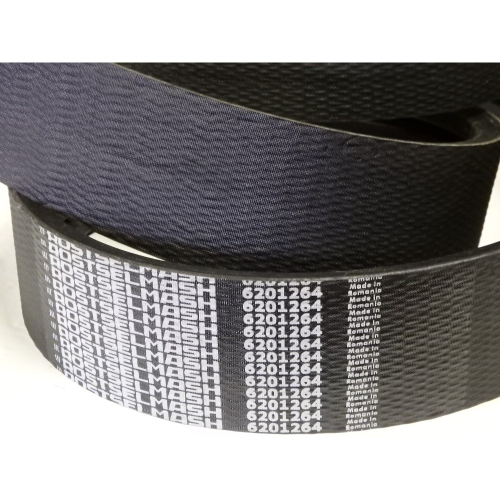 6201264 diržas OPTIBELT RSM