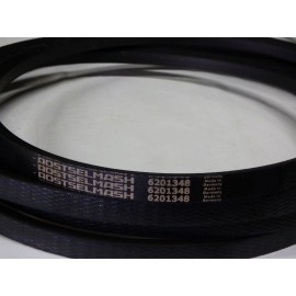 6201348 diržas OPTIBELT RSM