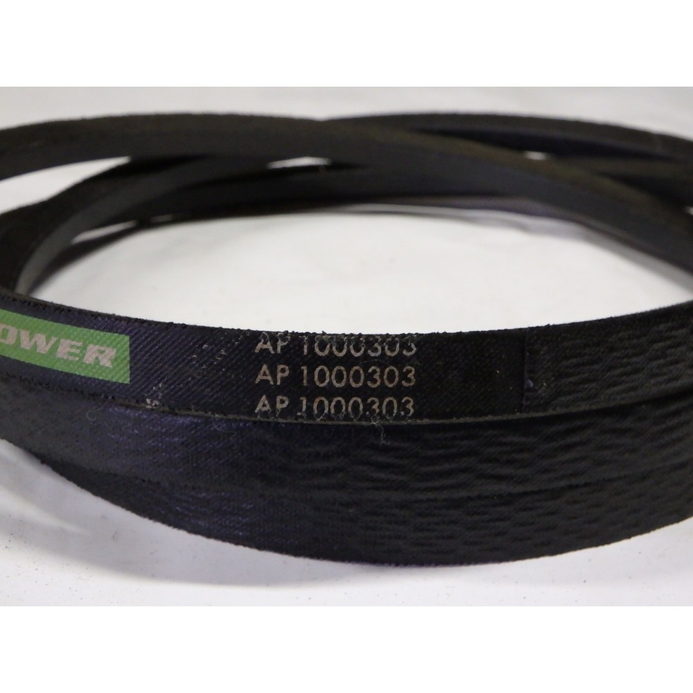 6201355 diržas Optibelt Agro Power