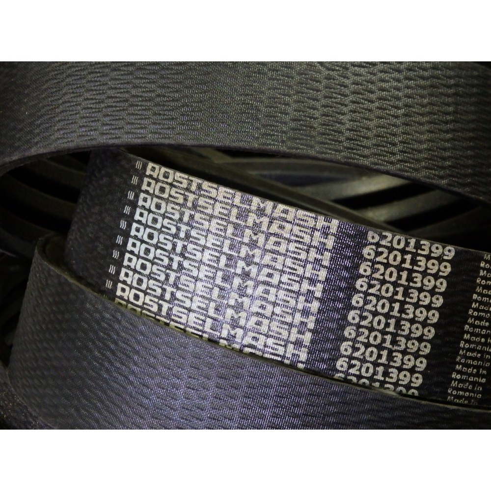 6201399 diržas OPTIBELT RSM