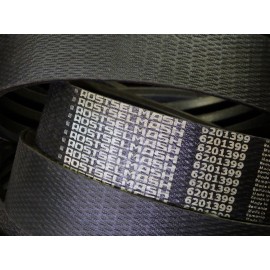 6201399 diržas OPTIBELT RSM
