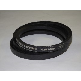6201489 diržas OPTIBELT RSM