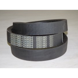 6201493 diržas OPTIBELT RSM