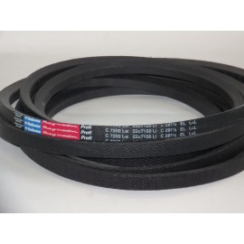C22-7200Lw (C281 1/2) diržas Rubena