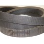 HL45-2980Lw diržas Rubena