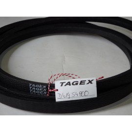 D41954800 diržas TAGEX