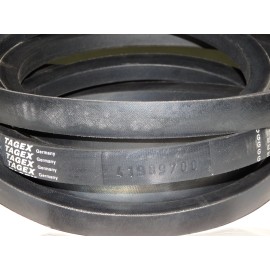 D41989700 diržas TAGEX