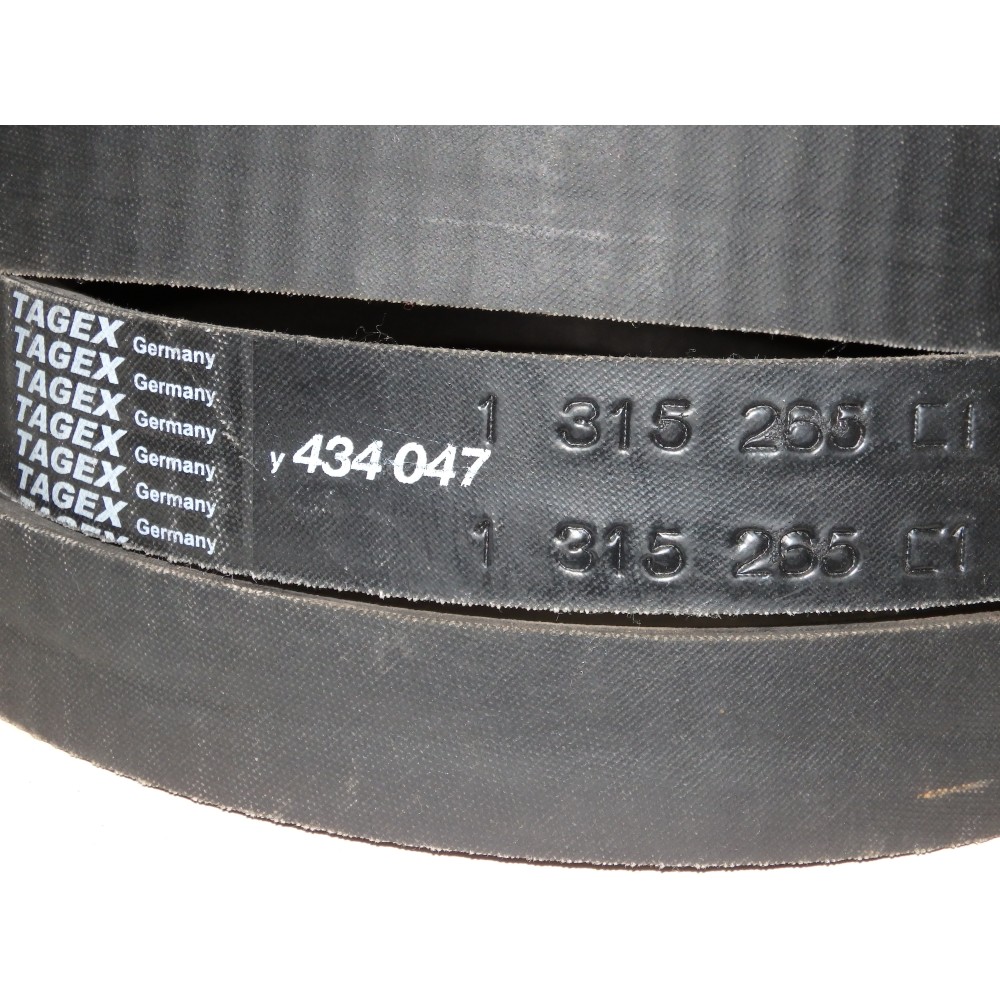 80919681  diržas TAGEX