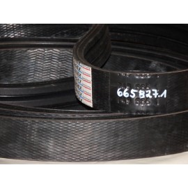 665827,1 diržas TAGEX