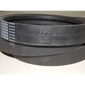 667251.1 diržas TAGEX