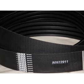 80922911 diržas TAGEX