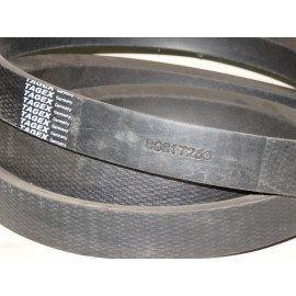 89817250 diržas TAGEX