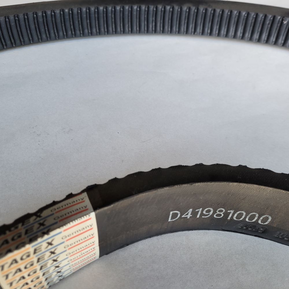 D41981000 diržas TAGEX