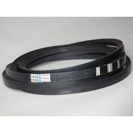 D41987300 diržas TAGEX