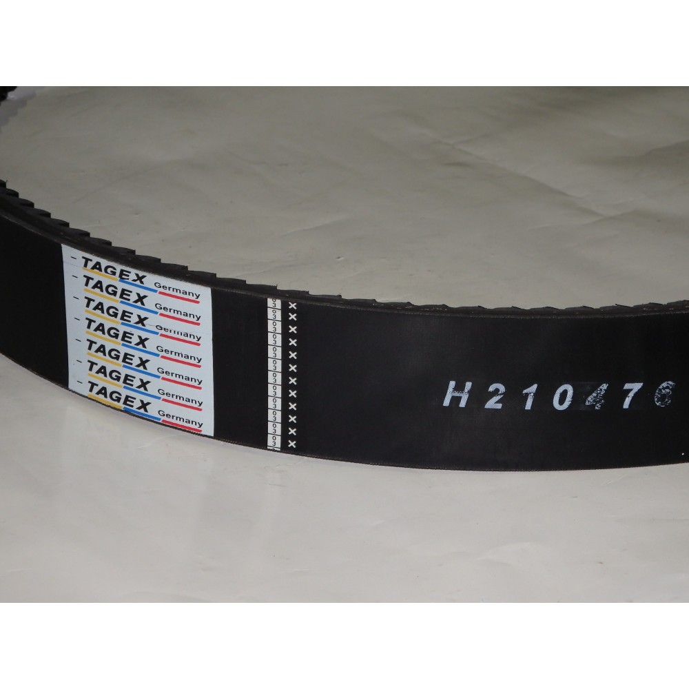H210476 diržas TAGEX