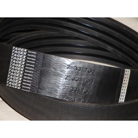 Z33790 diržas TAGEX