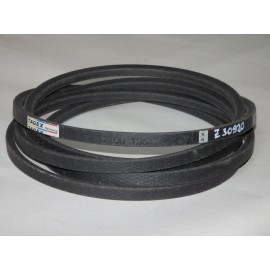 Z30920 diržas TAGEX