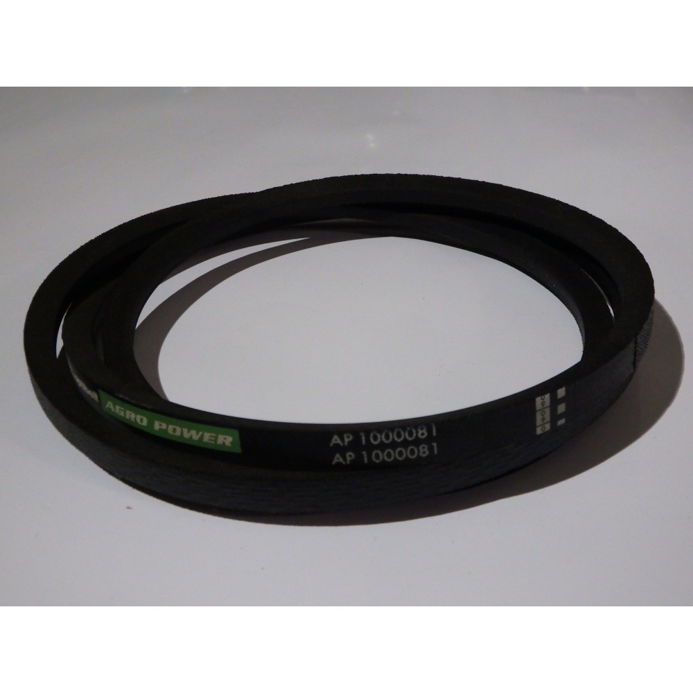 89817454 (TX) diržas Optibelt Agro Power super