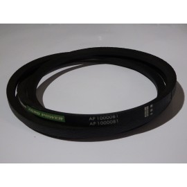 89817454 (TX) diržas Optibelt Agro Power super