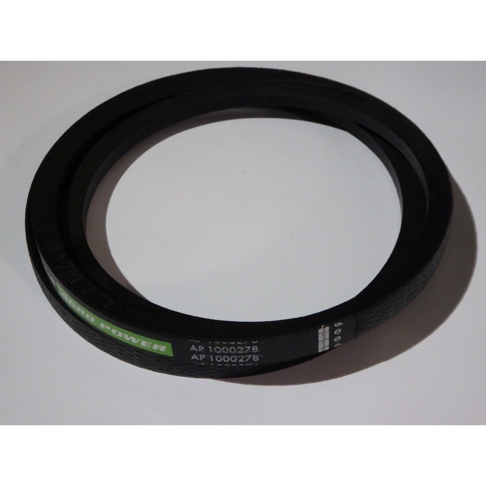D41998800 diržas Optibelt Agro Power