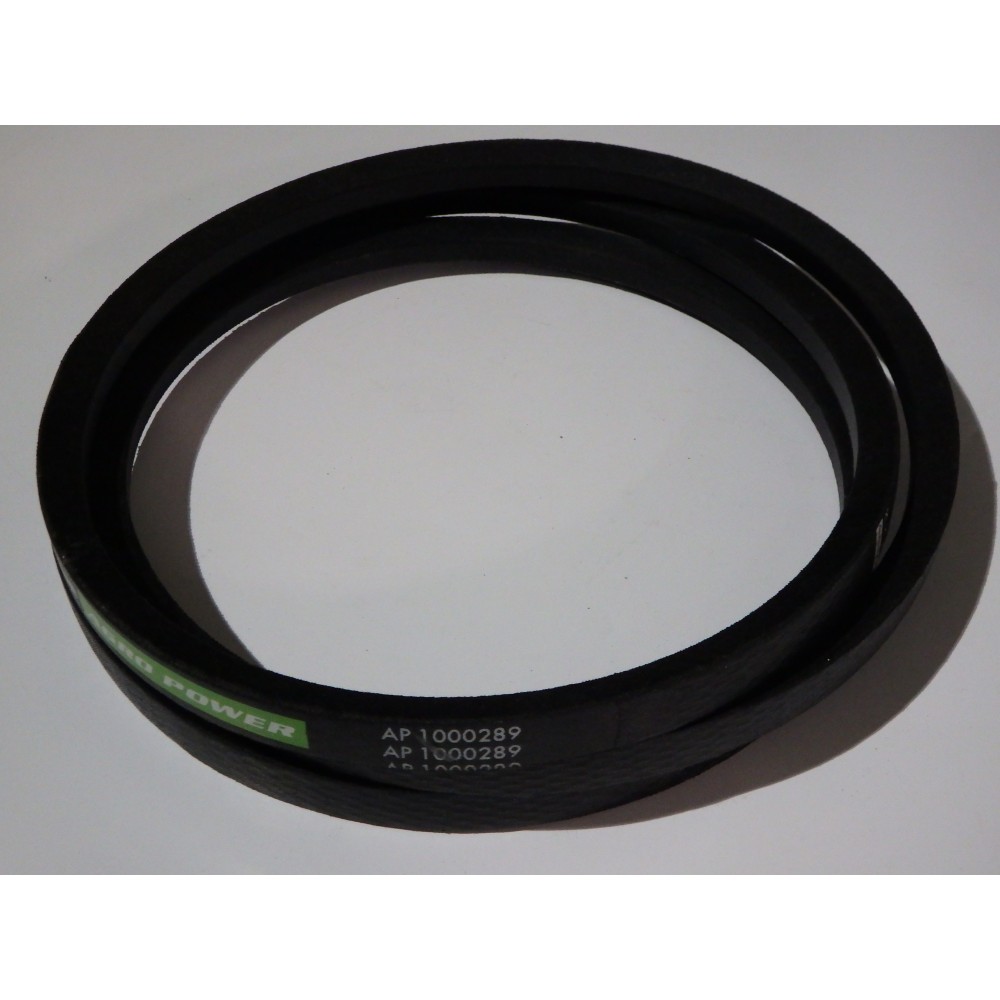 D41932600 diržas  Optibelt Agro Power