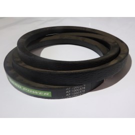 790522R1 diržas *** Optibelt Agro Power