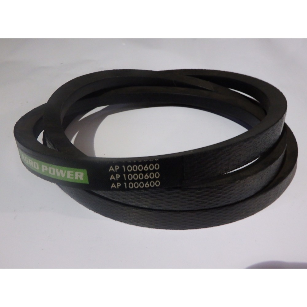 D41950900 diržas Optibelt Agro Power