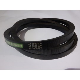 D41950900 diržas Optibelt Agro Power