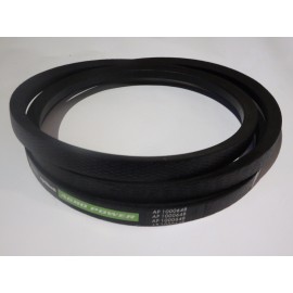 D41985900 diržas Optibelt Agro Power