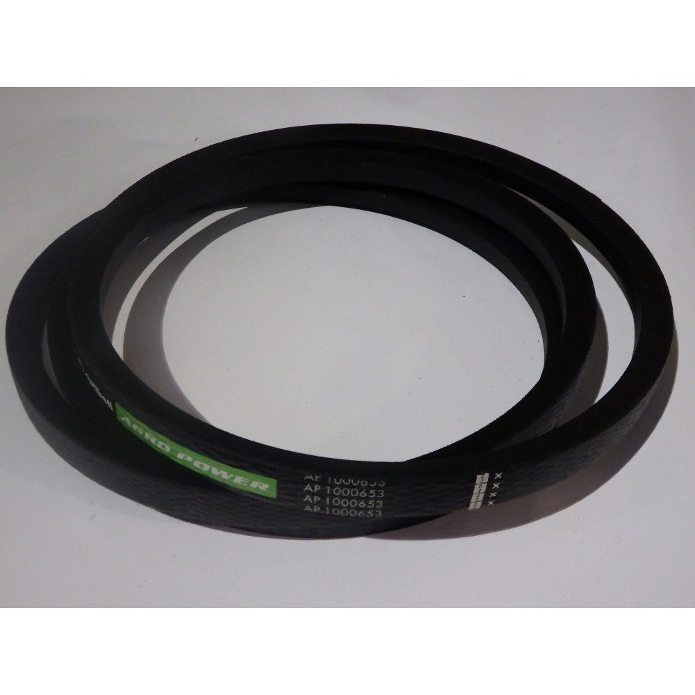 84991836 diržas Optibelt Agro Power
