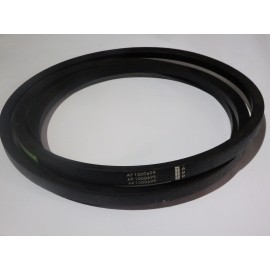 644209.0 diržas Optibelt Agro Power