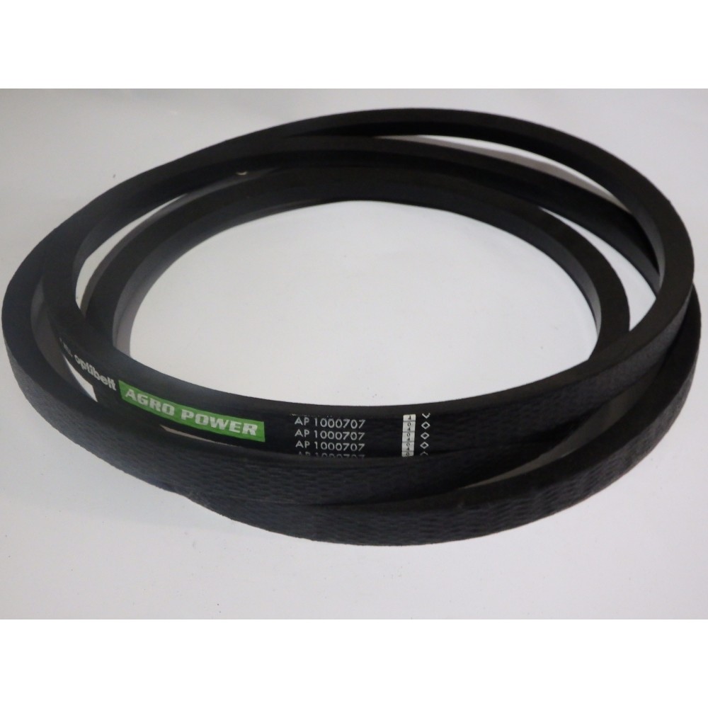 3170529 diržas Optibelt Agro Power