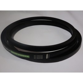 H168301 diržas Optibelt Agro Power