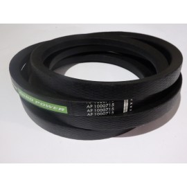 80333958 diržas Optibelt Agro Power