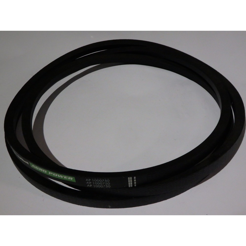 80446780 diržas Optibelt   Agro Power