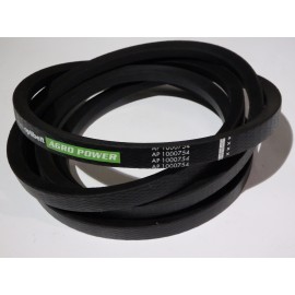 629081.1  diržas Optibelt Agro Power