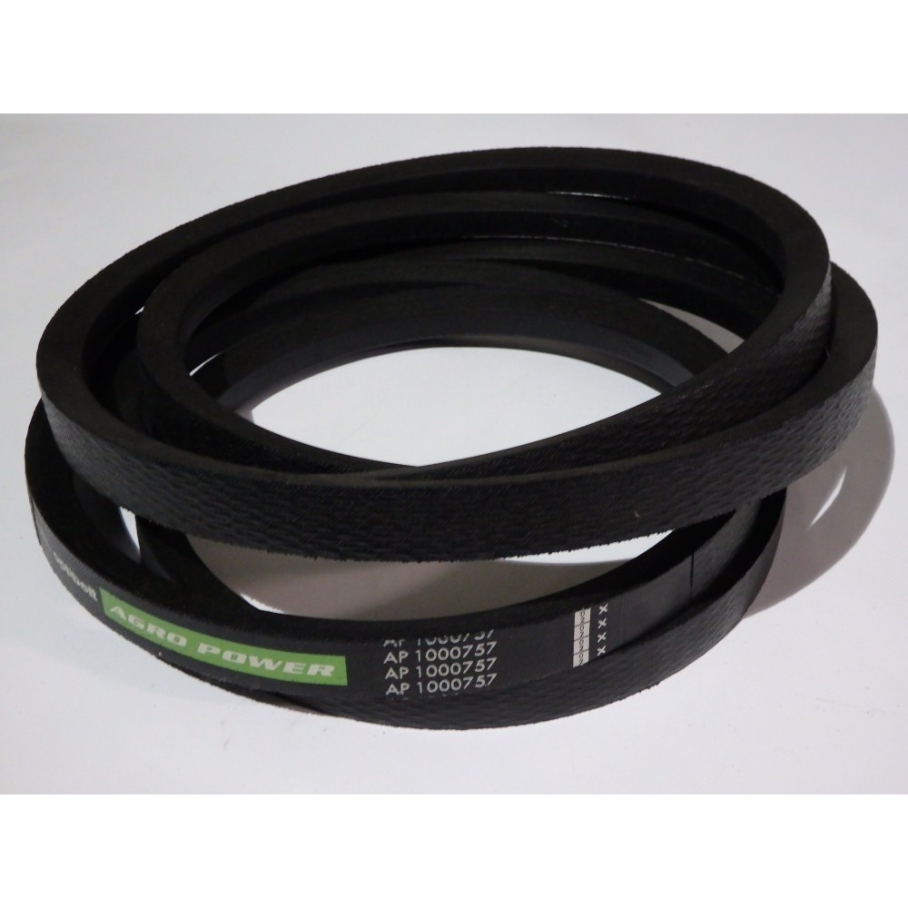 D41955800 diržas Optibelt Agro Power