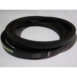 H125380 diržas Optibelt Agro Power