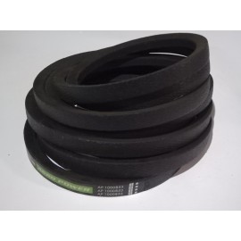 D41987600 diržas Optibelt Agro Power