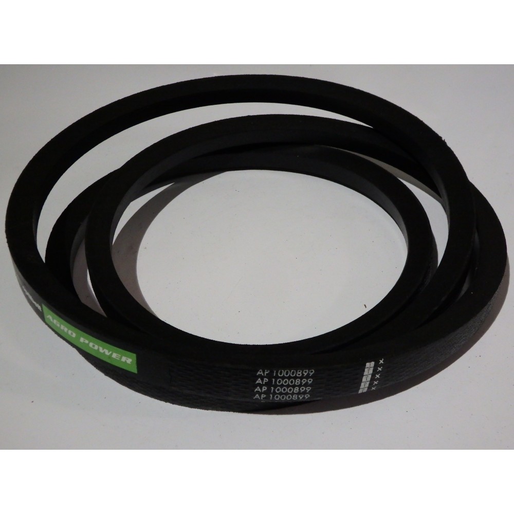 D41988900 diržas Optibelt Agro Power