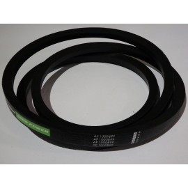 D41988900 diržas Optibelt Agro Power