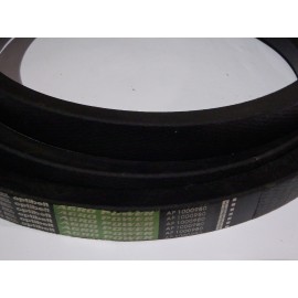 630156.0 diržas Optibelt Agro Power