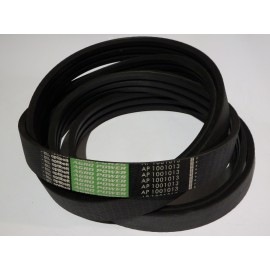 667891.0 diržas Optibelt Agro Power