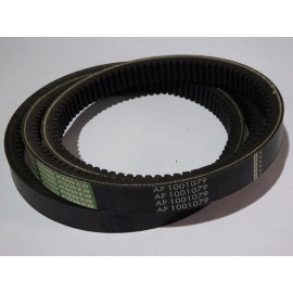 667457.0 diržas Optibelt Agro Power