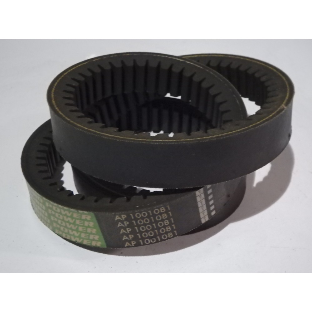 6201351 diržas Optibelt Agro Power